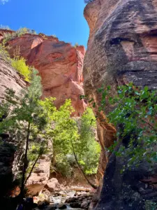 4. Kanarra Falls (Purchase Permit in Advance) Details in Duck Creek Village Guide. 