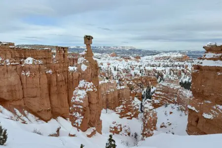 bd2b7fa0c1274c19a3fd7608c70545f5 LargeOriginal.jpg