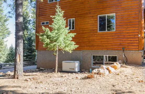 d8403c92cd354c15a44b61cda3828d42 LargeOriginal.jpg