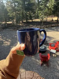 Morning Coffee viewing the pines and sunrise with a view of the Grand Staircase Pink Cliffs in the distance. 