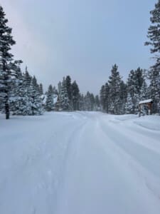 Lots of snow!