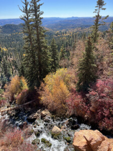 View on Cascade Falls Hike